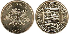 coin Guernsey 1 pound 1981