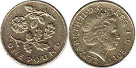 coin UK pound 2013