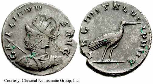 roman coin