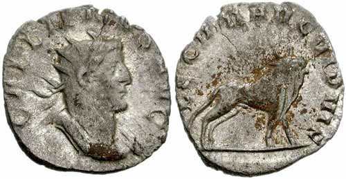 roman coin