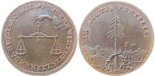 Rechenpfennig in murtis fertilis