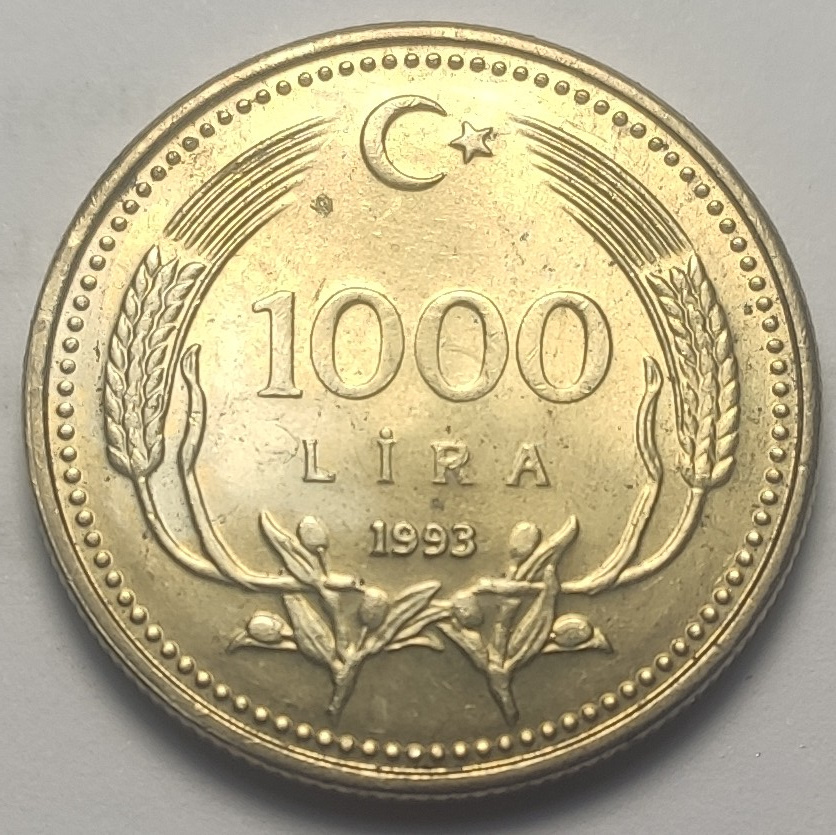 1000 Lira 1993 Reverse