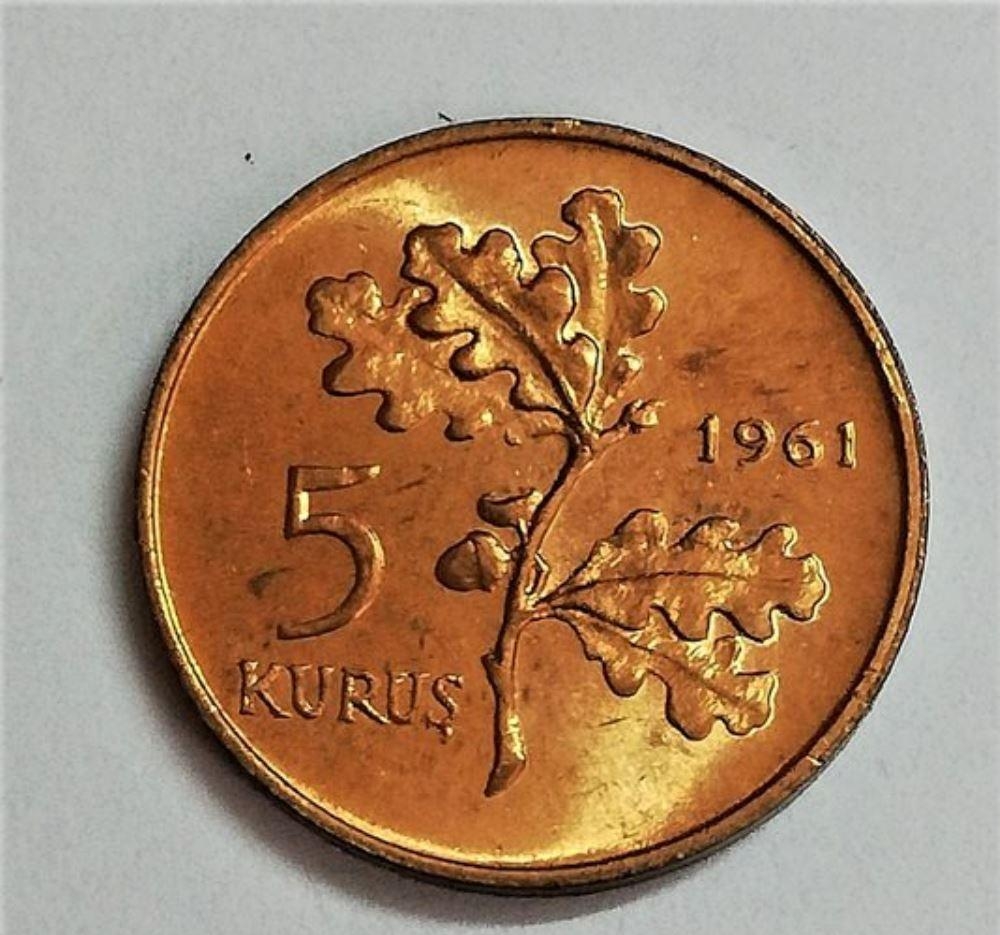 5 kurus 1961 Reverse