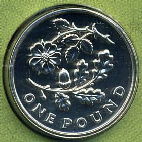 Веточка розы и дуба с желудем, ONE POUND ниже.